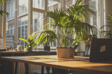 Espace de travail à Gand avec des bureaux ergonomiques, beaucoup de lumière du jour et un environnement de travail inspirant